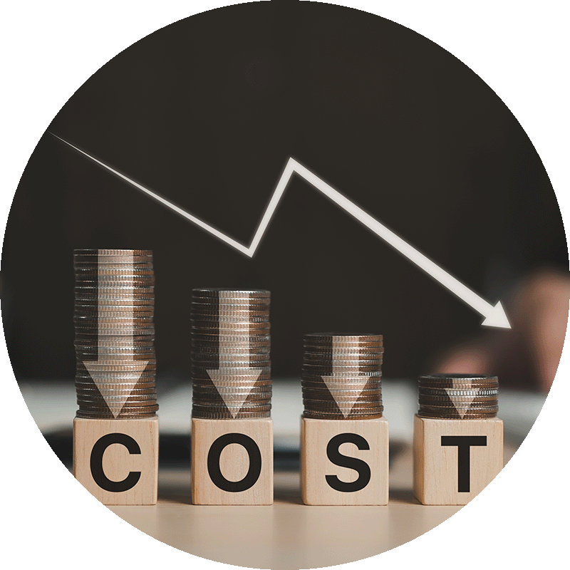 Cost Efficiency